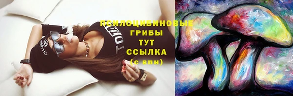 apvp Нея