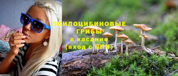 apvp Нея