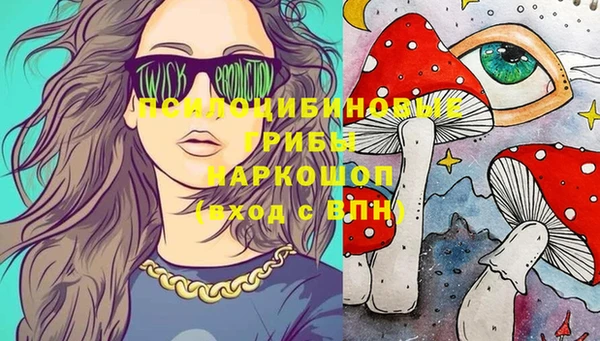 ешки Нефтекумск