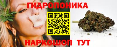 мдпв Партизанск