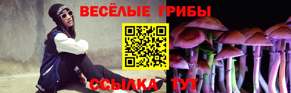 Псилоцибиновые грибы GOLDEN TEACHER Чита